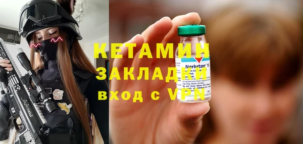 хмурый Гусь-Хрустальный