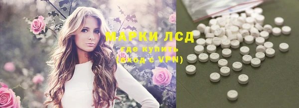 хмурый Гусь-Хрустальный