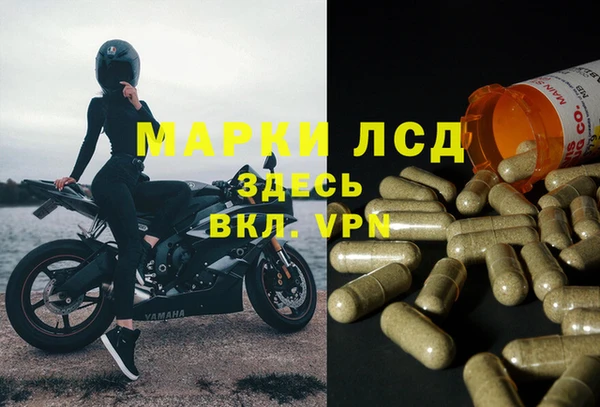 таблы Гусев