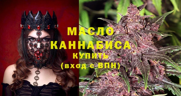 хмурый Гусь-Хрустальный
