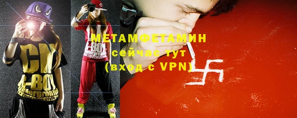 хмурый Гусь-Хрустальный