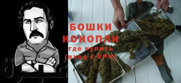 хмурый Гусь-Хрустальный