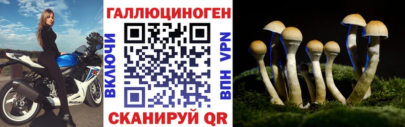 мега ТОР  Купино  Галлюциногенные грибы ЛСД 